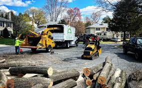 Best Weed Control  in Fairmount Heights, MD